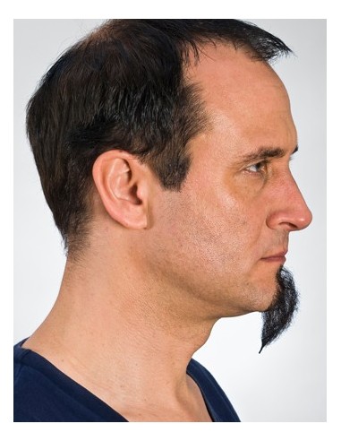 Perilla 9231 - KRYOLAN