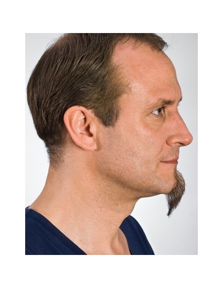 Perilla 9231 - KRYOLAN