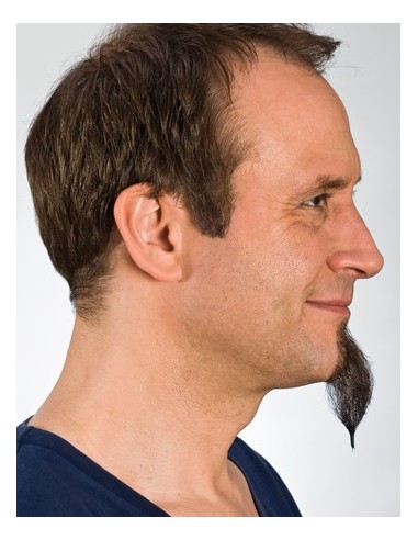 Perilla 9231 - KRYOLAN