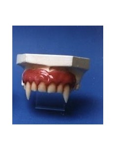 Dentadura vampiro