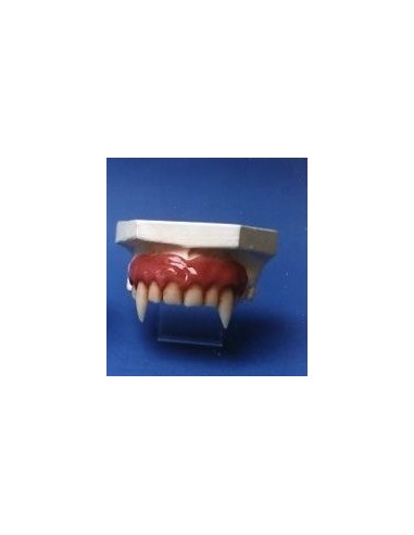 Dentadura vampiro - 145008