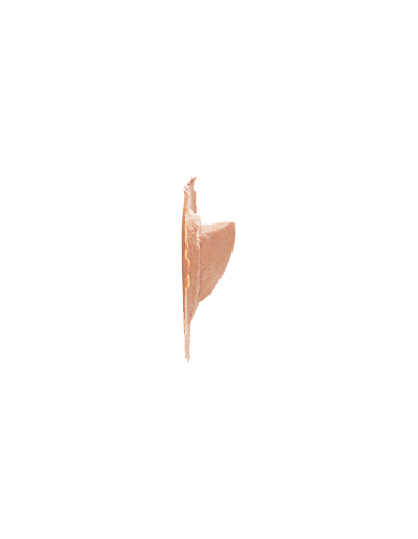 CUERNOS DE LATEX  THORNS