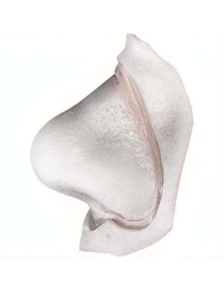 NARIZ DE ESPUMA DE PU PEQUEÑA BACO