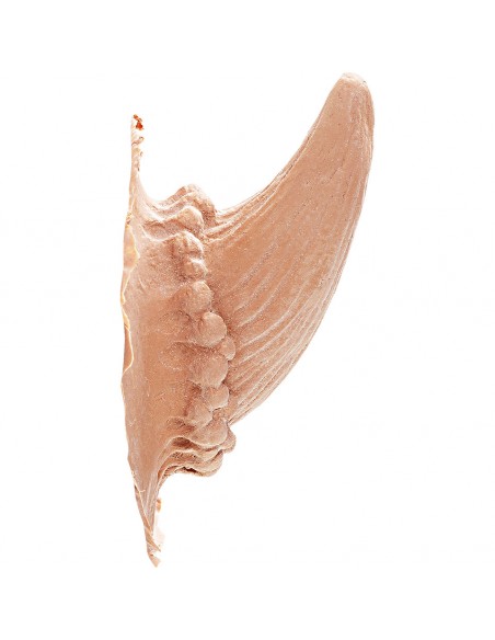 CUERNOS DE LATEX DIABLO