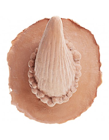 CUERNOS DE LATEX DIABLO