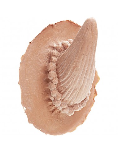 CUERNOS DE LATEX DIABLO