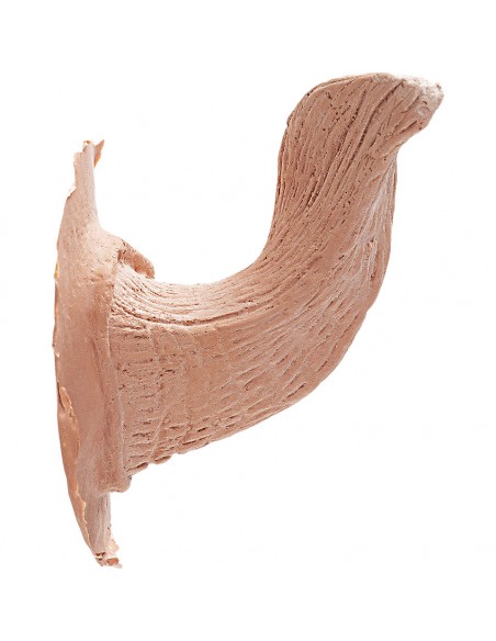 CUERNOS DE LATEX SATIRO