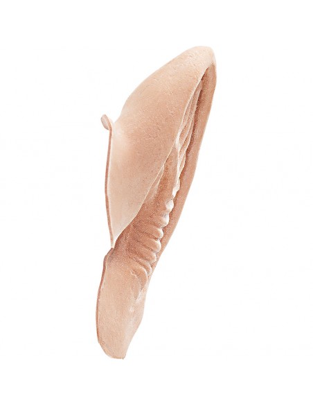 OREJAS DE GUTTER ELF