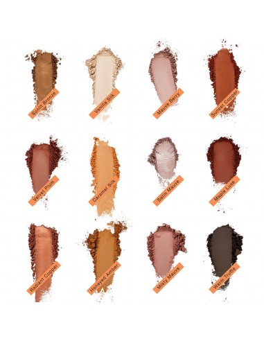 VELVET VISION EYE SHADOW PALETA 12 TONOS